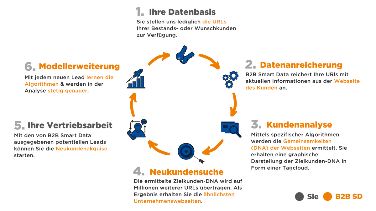 B2B Web Scoring Projekt