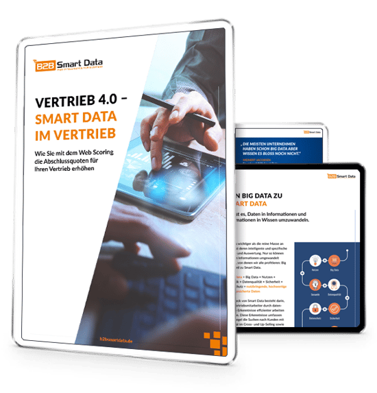 Whitepaper B2B Web Scoring Whitepaper B2B Web Scoring