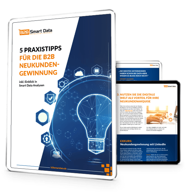 Whitepaper B2B Neukundengewinnung